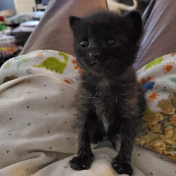 Bundle & Save.. - Picture 14 of 15